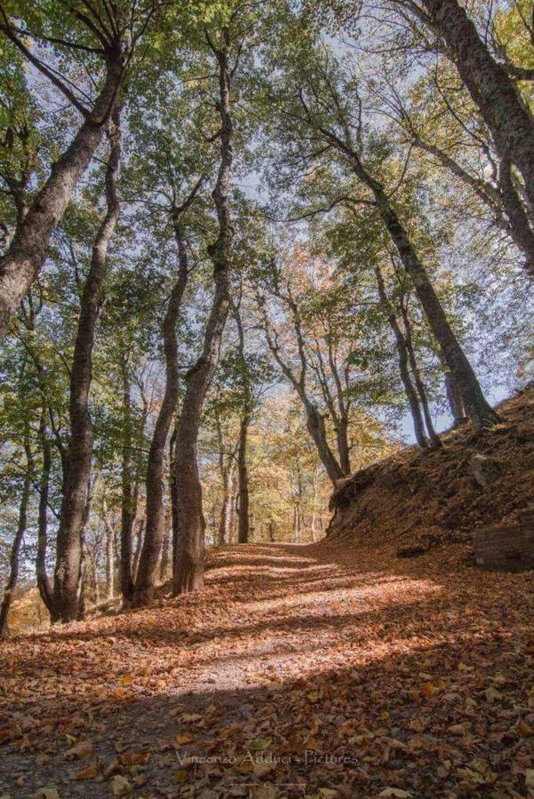 Sant'Elia B&B Alessandria del Carretto Bagian luar foto